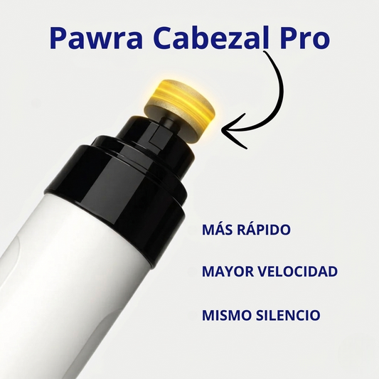 Pawrist Cabezal Pro Turbo