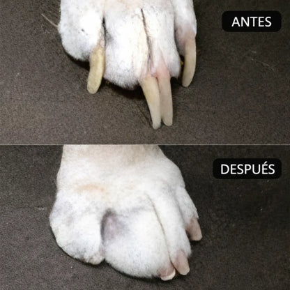 Pawrist™ – Silencioso, Sin Estrés